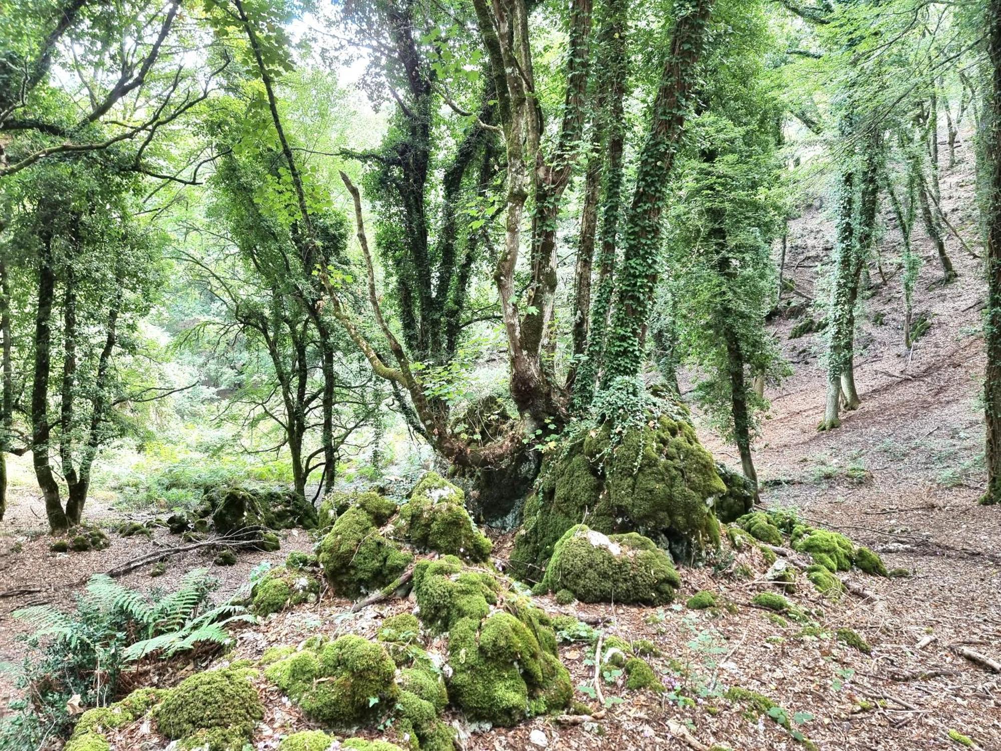 Suites Dimora Garibaldi Peschici Exteriér fotografie